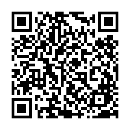 QR code for 869DNN