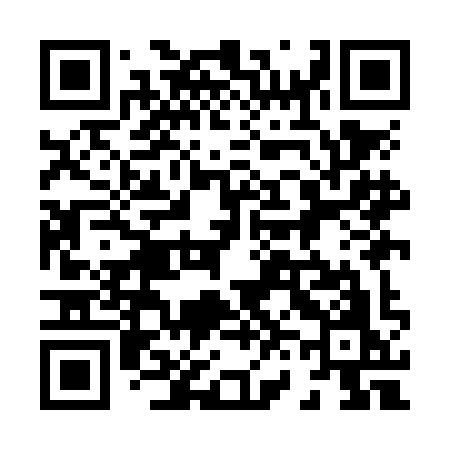 QR code for 869NIO