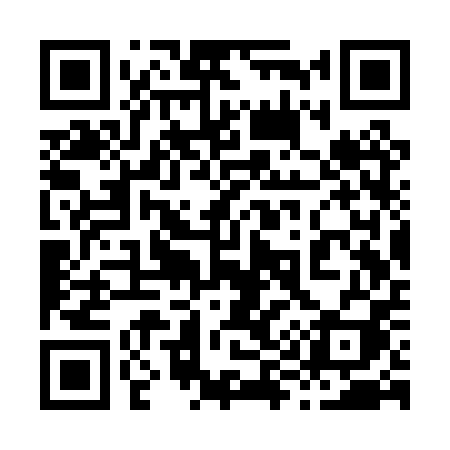 QR code for 893PPI
