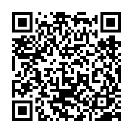 QR code for 909FIS