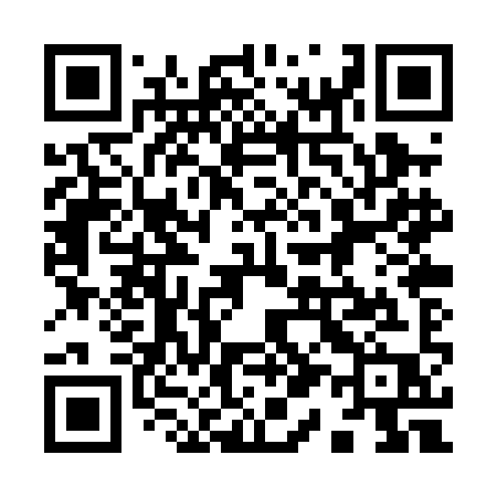QR code for 910PIP