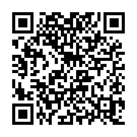 QR code for 911MII