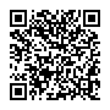 QR code for 911ZMJ