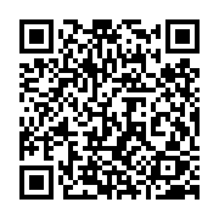 QR code for 919DSZ