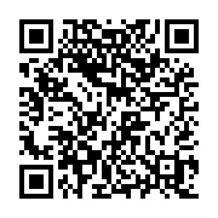 QR code for 919MAI
