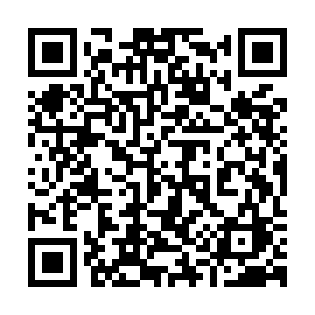 QR code for 919MCC