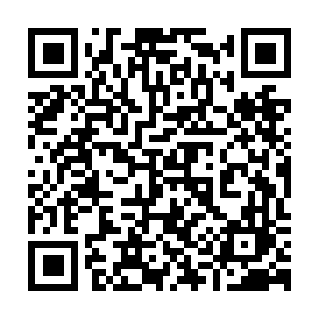 QR code for 919NFL