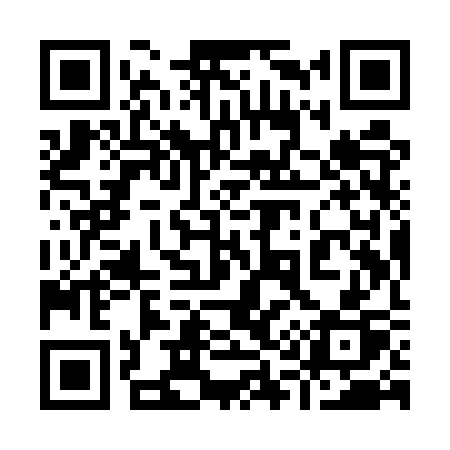 QR code for 919USP