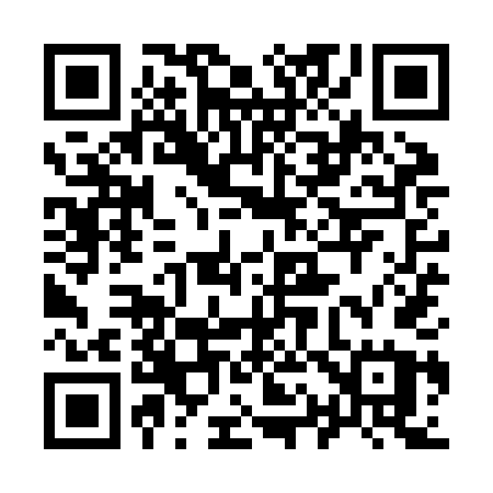 QR code for 919ZDU