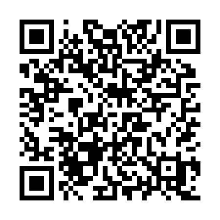 QR code for 919ZPI