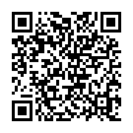 QR code for 925ICO