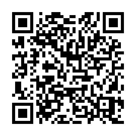 QR code for 950INR
