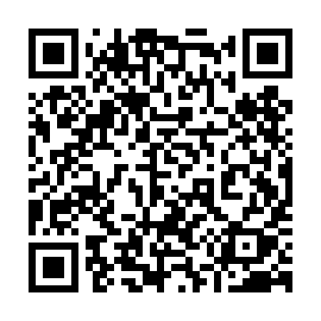 QR code for 951DIY