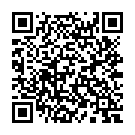 QR code for 951ZZI