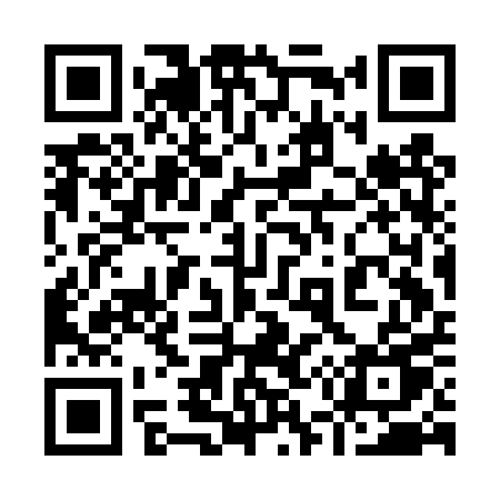 QR code for 953DPU