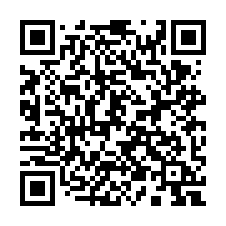 QR code for 953FIA