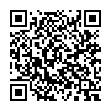 QR code for 953JIA
