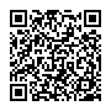 QR code for 955EVM