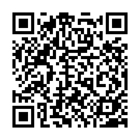 QR code for 955MAM