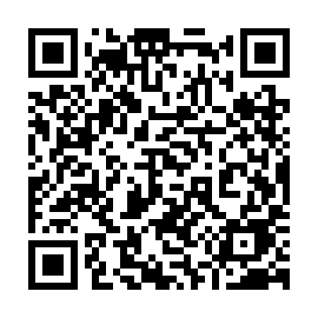 QR code for 955SIE