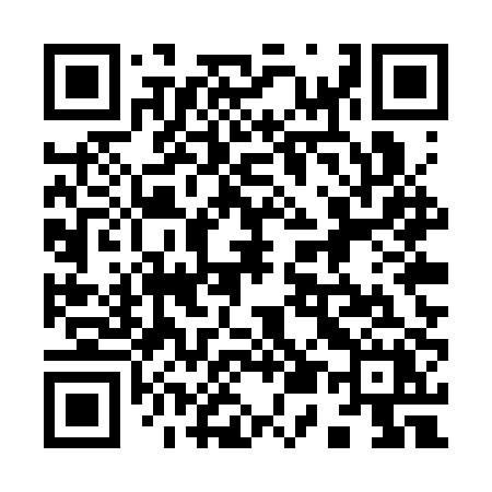 QR code for 955SPX