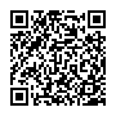 QR code for 955SQR
