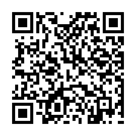 QR code for 966CTF