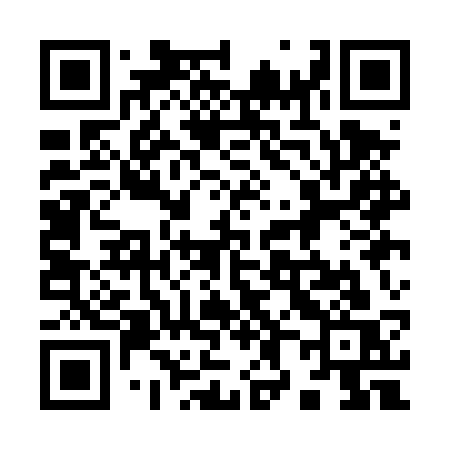 QR code for 981DSS