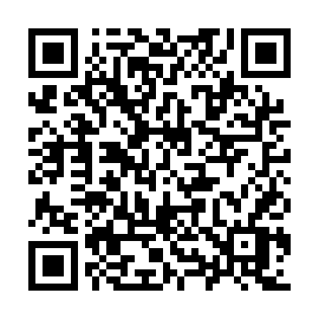 QR code for 991ADV
