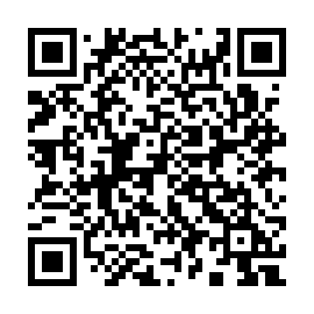 QR code for 991ARE