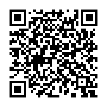 QR code for 991IRR