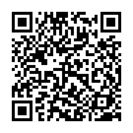 QR code for 991OZI