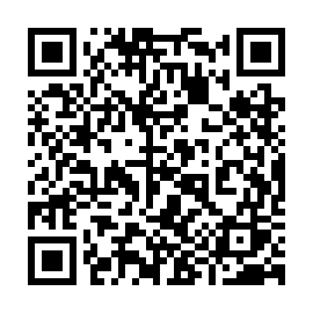QR code for 991SGS
