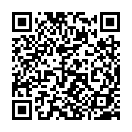 QR code for 991SPI