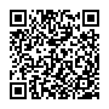 QR code for 991SUR
