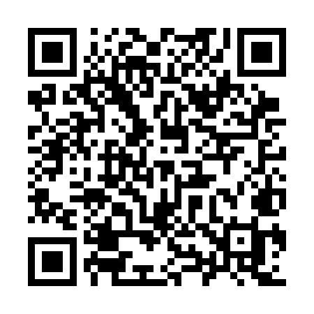QR code for 993CMI
