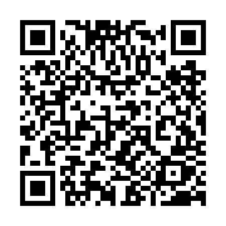 QR code for 993GOZ