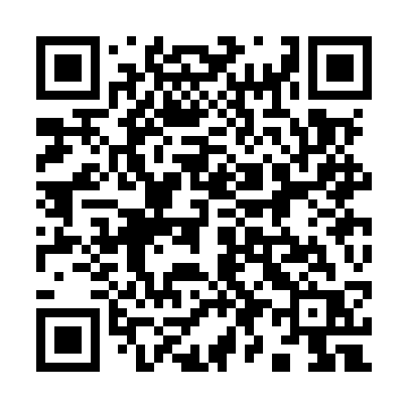 QR code for 993MSR