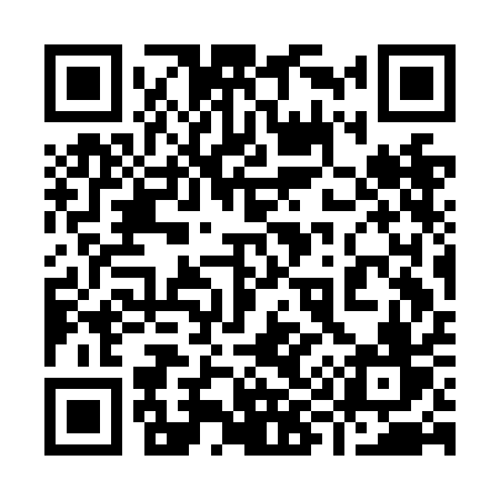 QR code for 993NAV