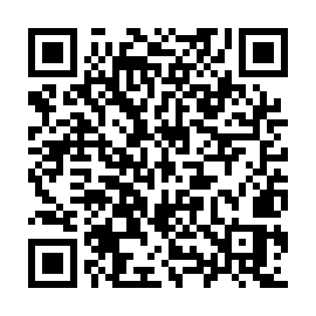 QR code for 993QMS