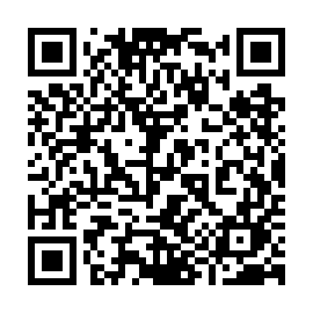 QR code for 993WEL