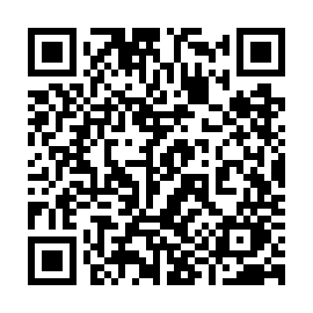 QR code for 993WOO