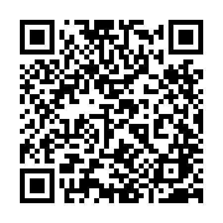QR code for 996LMC