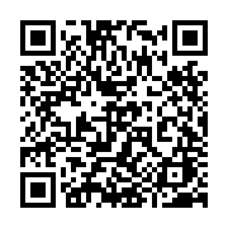 QR code for 996LOC