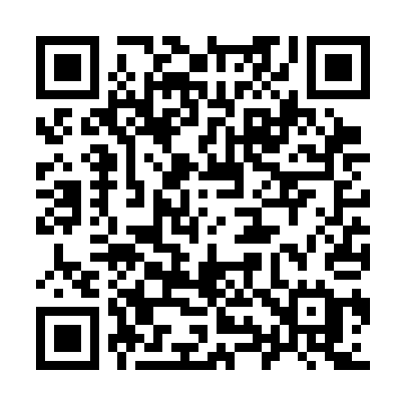 QR code for 996SAE