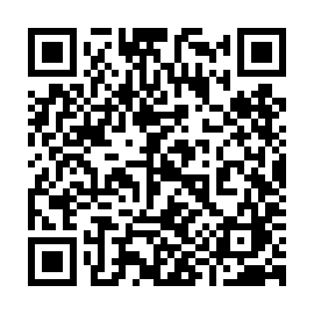 QR code for 996TIC