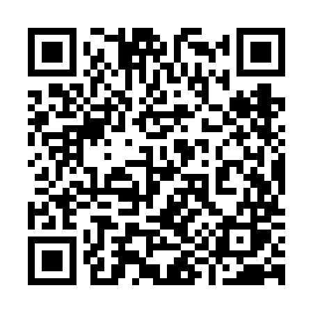 QR code for 999VMS
