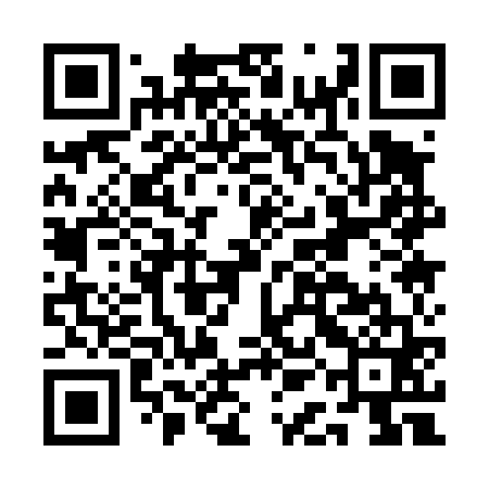 QR code for AAA461