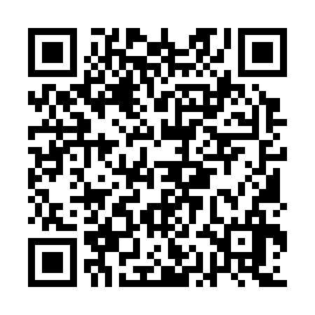 QR code for AAM336