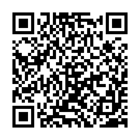 QR code for AAS992